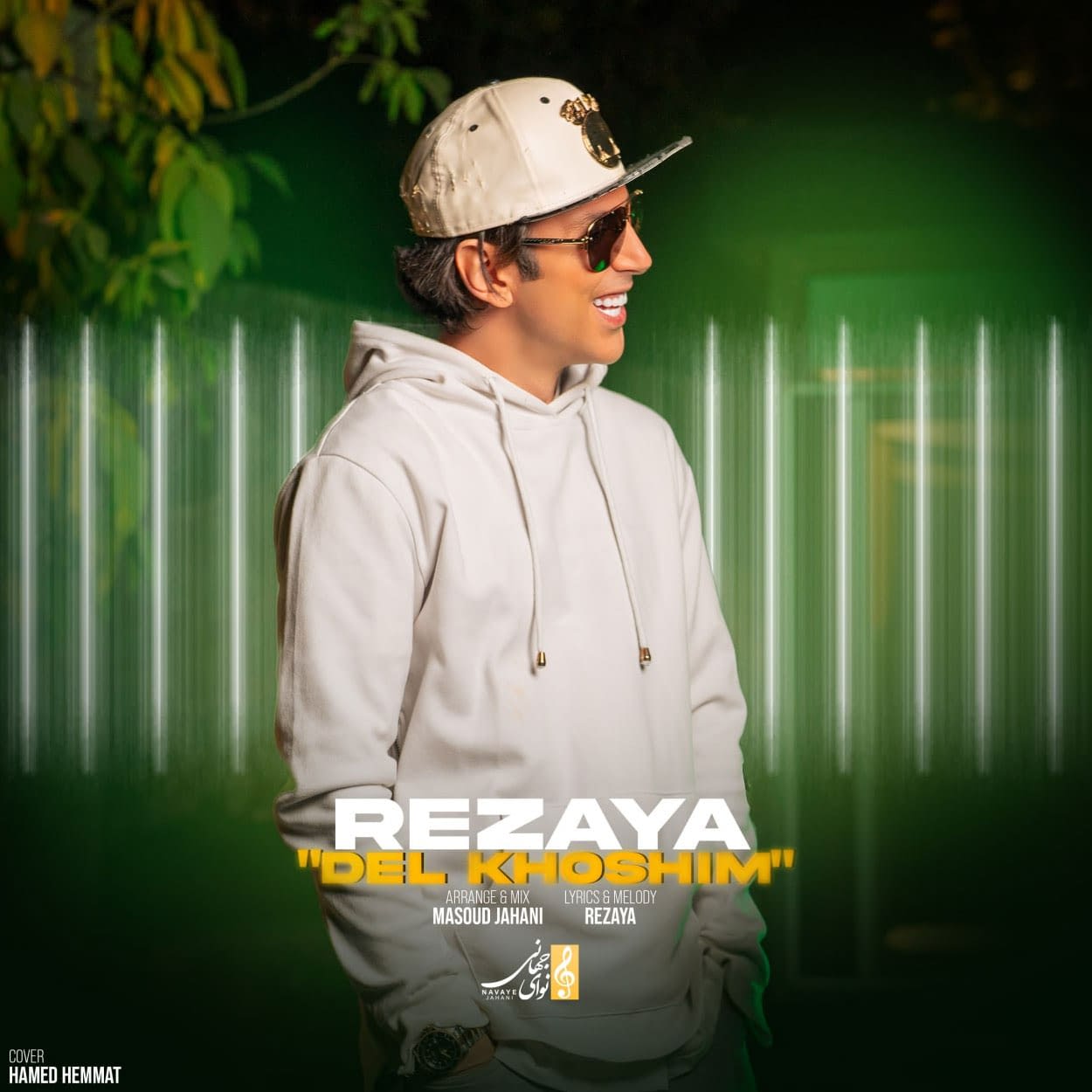 دانلود آهنگ دلخوشیم رضایا